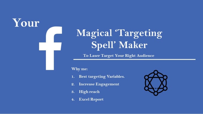 Gig Preview - Do laser perfect facebook audience targeting for your ads