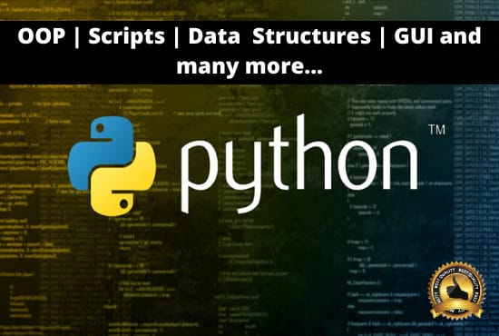 Gig Preview - Code python programming scripts and projects