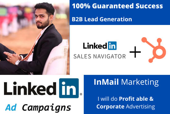 Gig Preview - Do linkedin ads marketing campaigns, sales navigator inmails