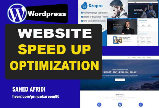 Gig Preview - Speed up and optimize your wordpress website