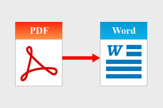 Gig Preview - Convert PDF file into word file ocr