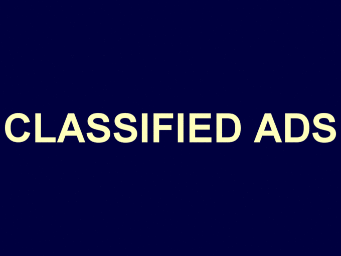 Gig Preview - Post your classified ad to 10 classified websites