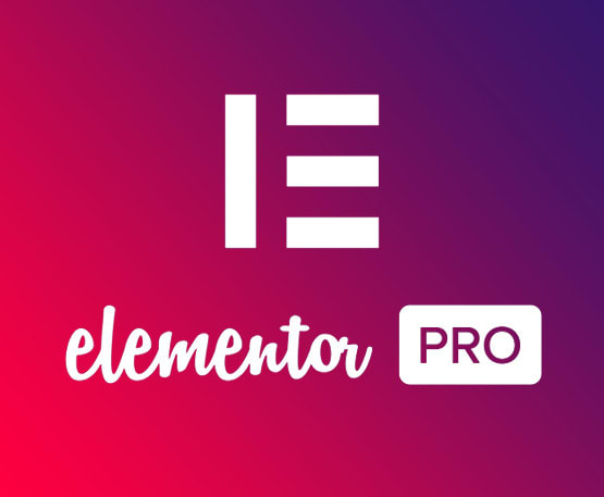 Gig Preview - Create or clone wordpress website using elementor pro