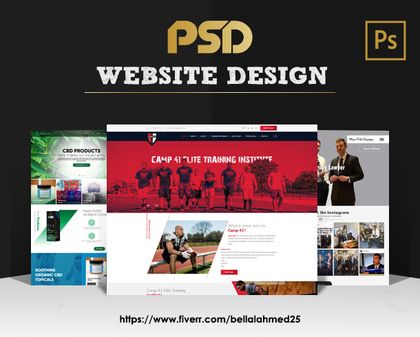 Gig Preview - Do PSD website design