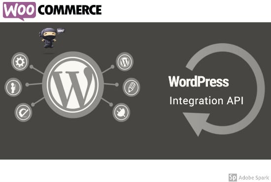 Gig Preview - Do wordpress woocommerce integration with any API