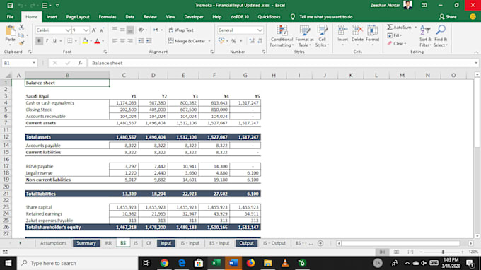 Gig Preview - Do financial modeling and business plan