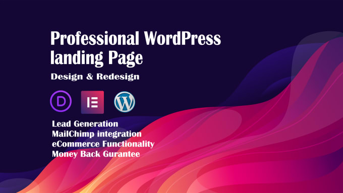 Gig Preview - Design a lead generation wordpress landing page