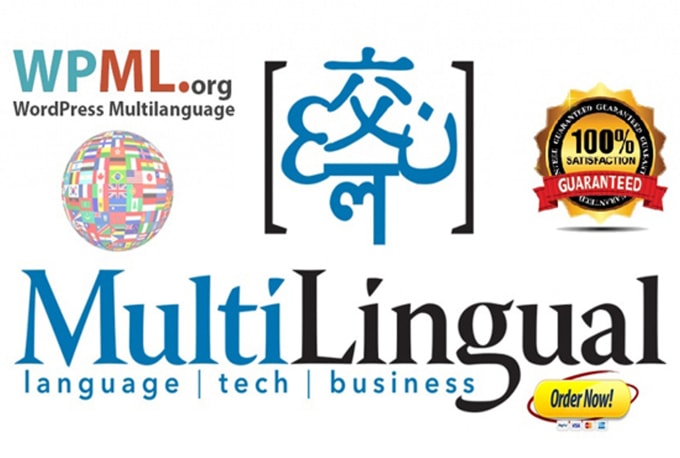 Gig Preview - Do multilingual or multilanguage with wpml plugin to your wordpress website