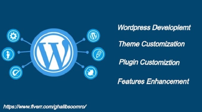 Gig Preview - Do wordpress design and development customization