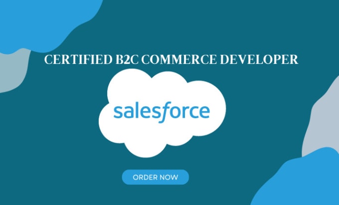 Gig Preview - Be your salesforce developer and consultant