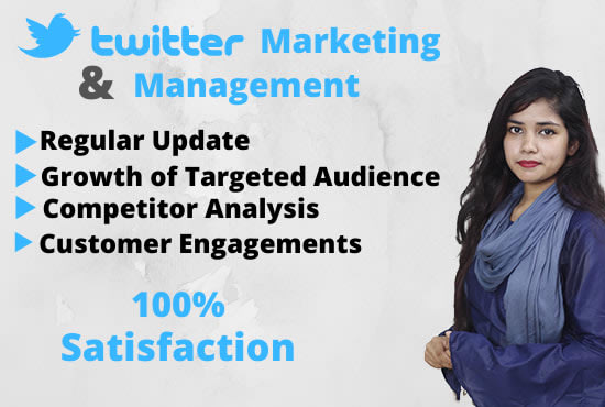 Bestseller - do organic twitter growth and promotion