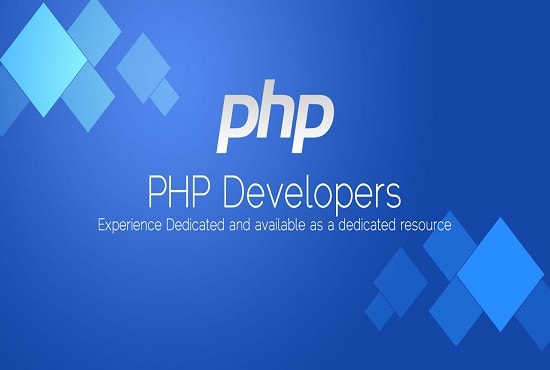 Gig Preview - Be your awesome web developer in PHP mysql codeigniter