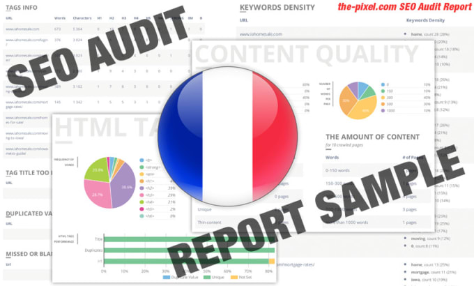 Gig Preview - Do seo audit for your french website