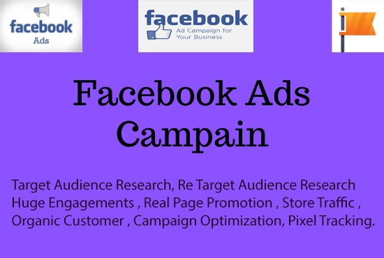 Bestseller - dynamic shopify fb and instagram ads campaigns organic optimize