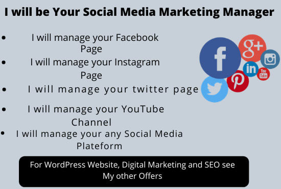 Gig Preview - Be your social media marketing manager