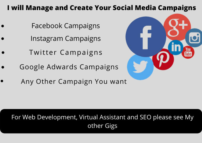 Gig Preview - Create and manage your facebook and google adwards campaign