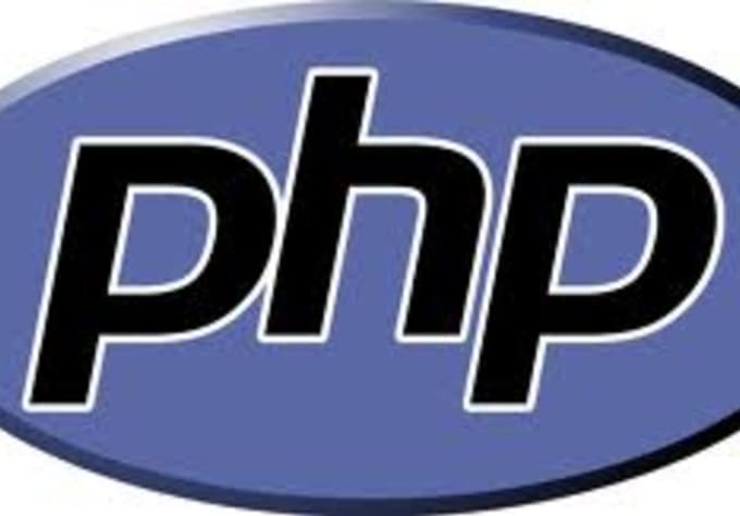 Gig Preview - Debug your php codes for 1 hour