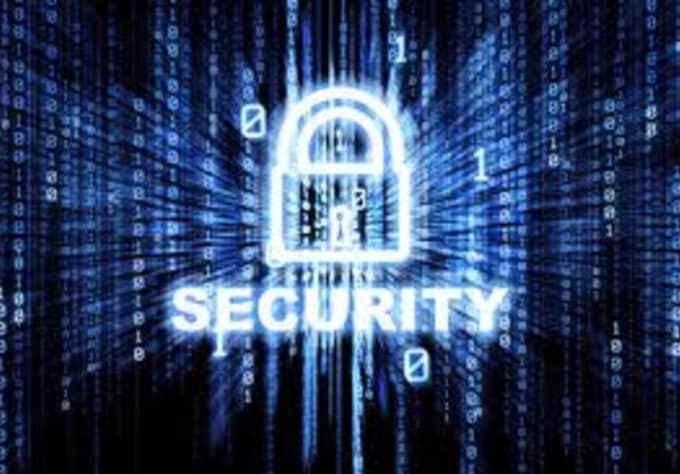 Gig Preview - Give you security tips for your website