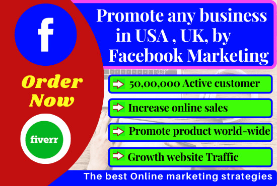 Gig Preview - Promote any product in the USA through facebook ads campaign