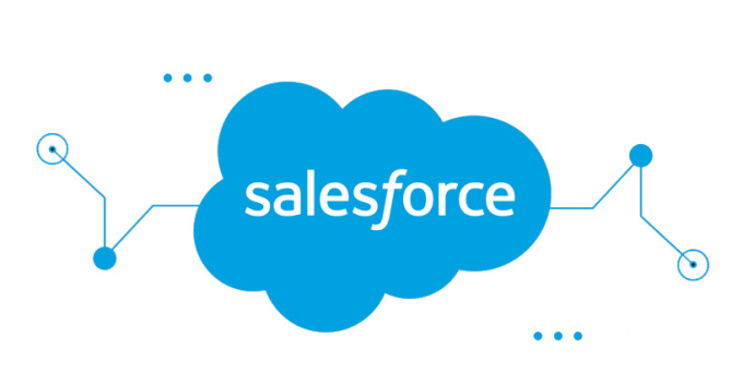 Gig Preview - Do salesforce CRM admin and development