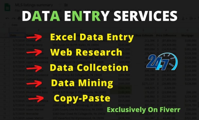 Bestseller - do professional data entry work 24 hours