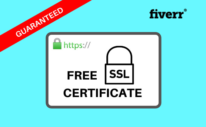 Gig Preview - Install ssl certificate https on your wordpress website