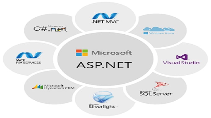 Page 9 - 24 Best winforms Services To Buy Online | Fiverr