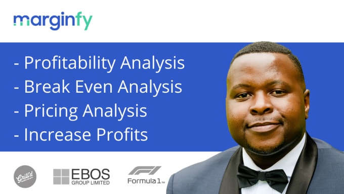 Gig Preview - Create a custom year 1 profitability tool for your business