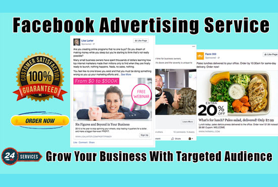 Gig Preview - Create facebook advertising ads campaign in your ads manager