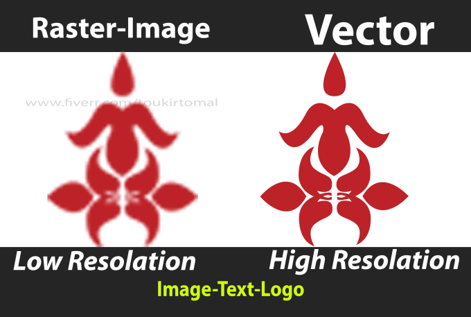 Gig Preview - Vectorize image or convert image to vector, vector tracing, redraw logo