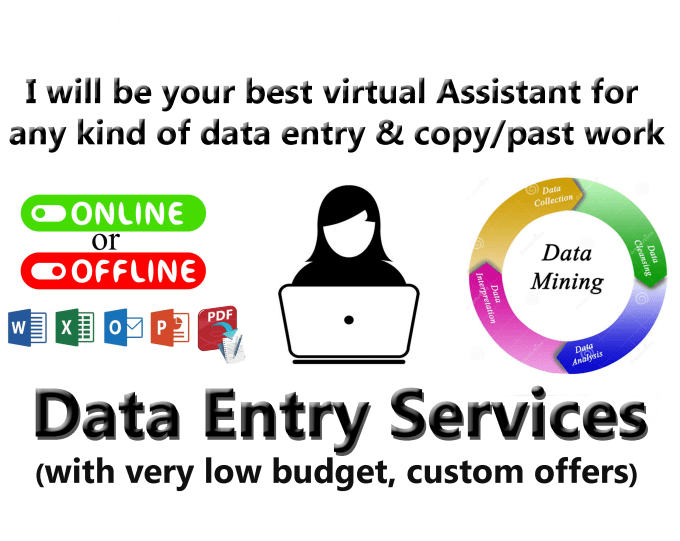 Gig Preview - Be your virtual assistant for data entry,copy paste, web research,web scraping