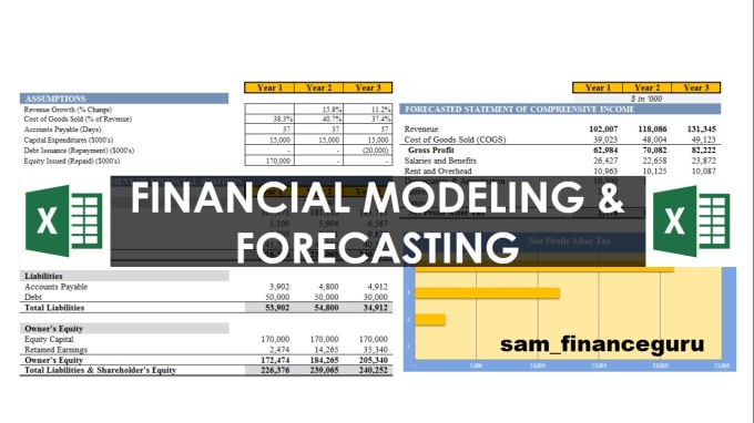 Gig Preview - Prepare financial model for your business or project