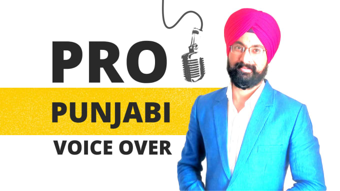 Gig Preview - Record a professional punjabi voice over in 24 hours