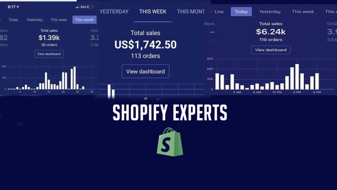 Gig Preview - Build a shopify responsive website in 24 hours