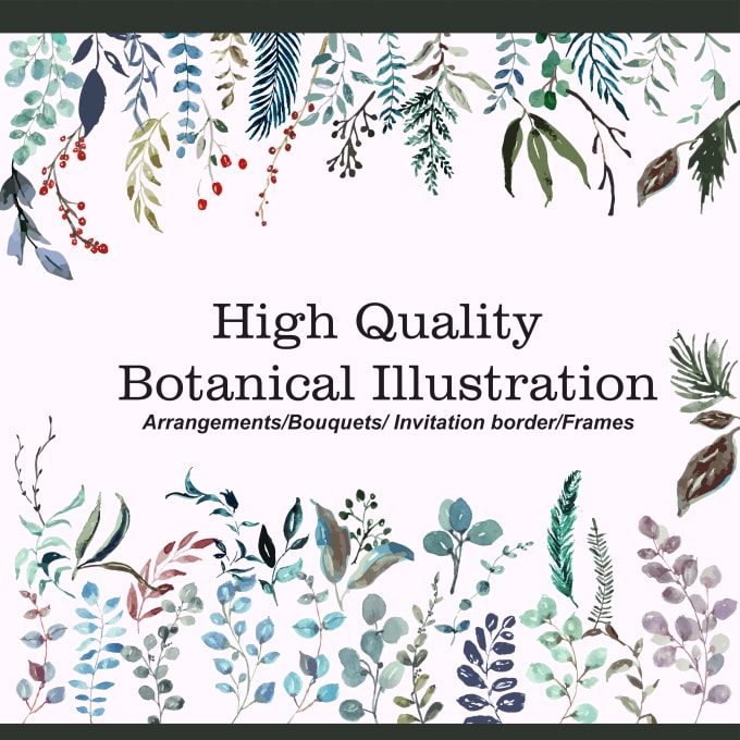 Gig Preview - Draw a botanical illustration by hand or vector digital art