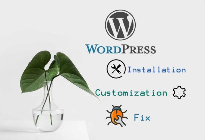 Gig Preview - Install, customize or fix your wordpress website