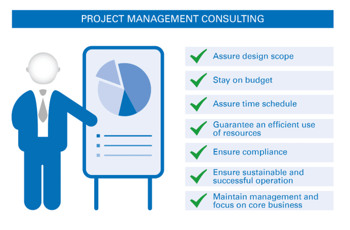 Gig Preview - Provide you full technical project manager services