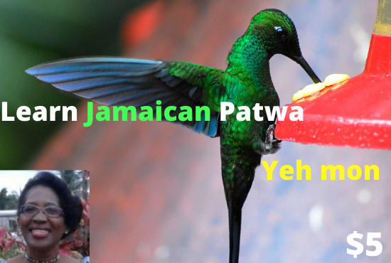 Gig Preview - Teach you jamaican patwa