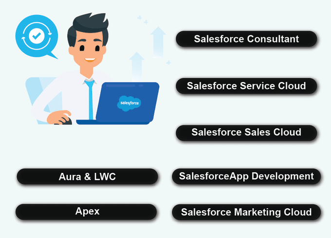 Gig Preview - Be your salesforce developer and consultant