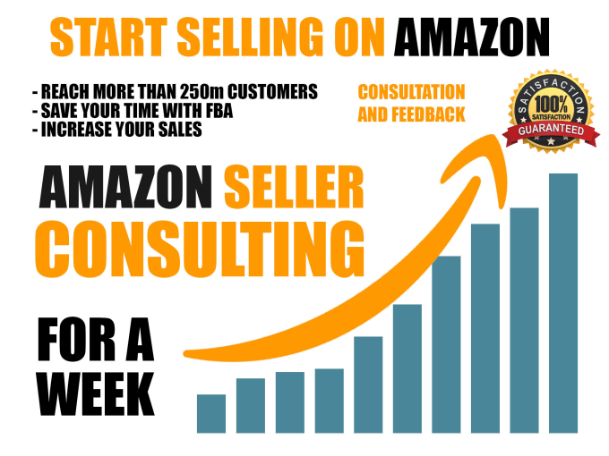 Gig Preview - Do ongoing amazon seller consulting for a month th