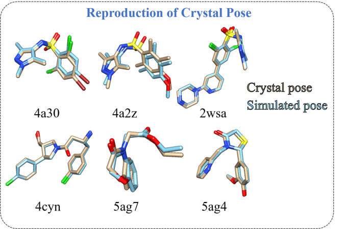 Gig Preview - Assist you in molecular docking