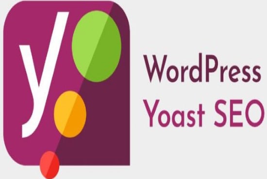 Gig Preview - Do wordpress yoast SEO optimization for your website