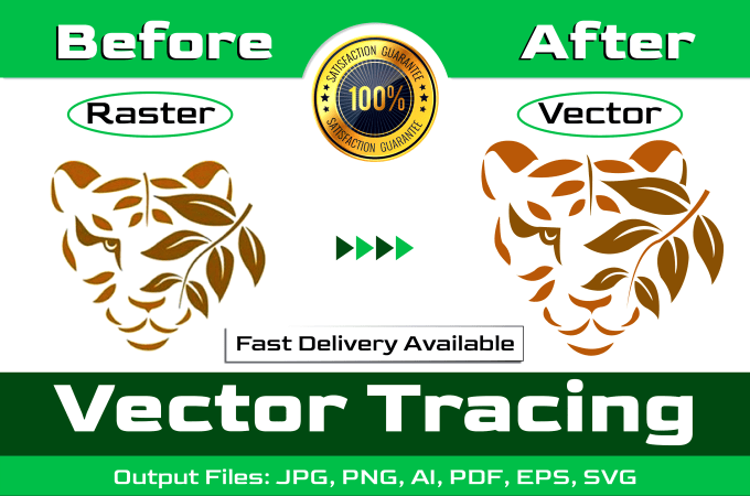 Gig Preview - Do awesome vector tracing in fastest possible time