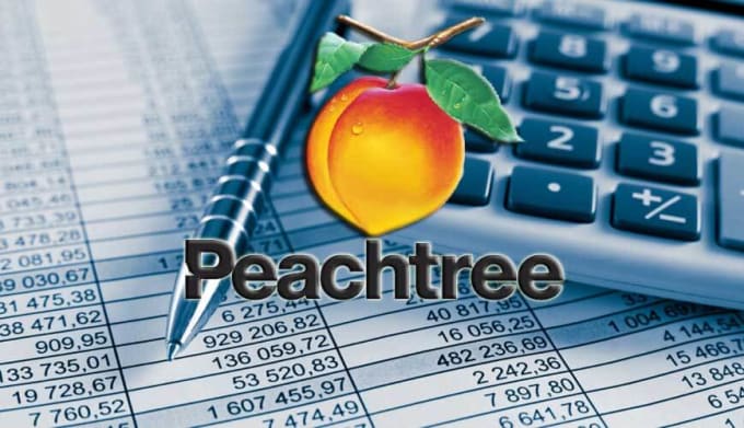 Gig Preview - Do your business set up on peachtree accounting software