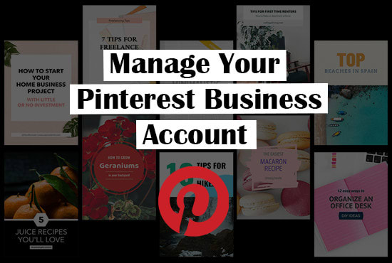 Gig Preview - Manage your pinterest business account