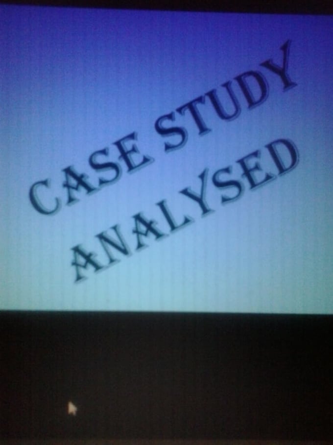 Gig Preview - Analyze business data and case study