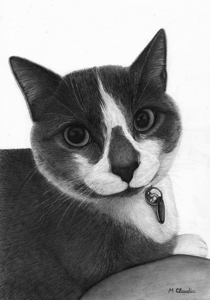 Gig Preview - Draw a pet pencil drawing