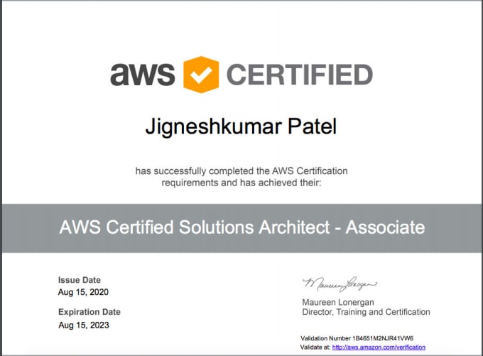 Gig Preview - Fast and affordable AWS certified solution architect