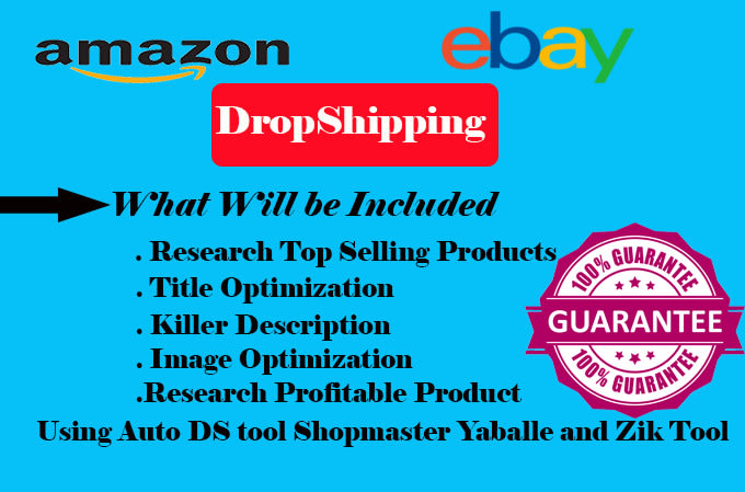 Gig Preview - Do amazon to ebay dropshipping via yaballe tool