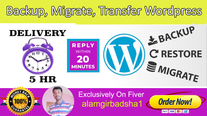 Gig Preview - Backup, migration, transfer big wordpress website in 2 hours